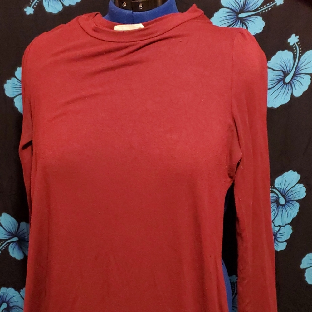 Long sleeve long top or short dress